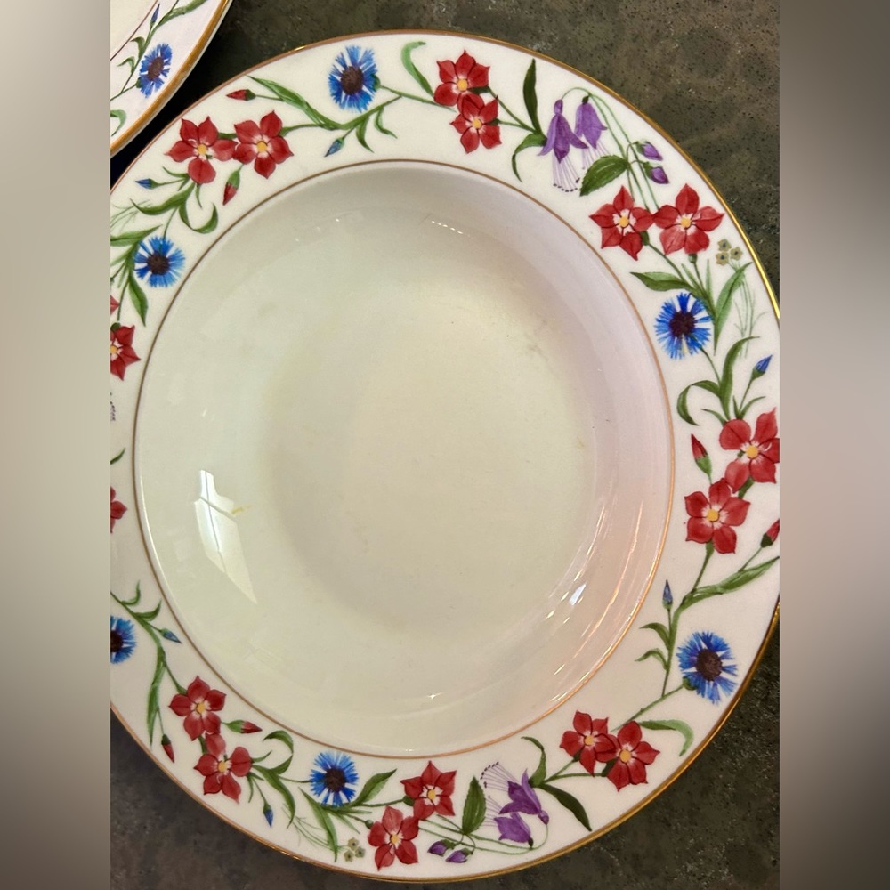 2 American Atelier “Alisa” bowls 8.75”